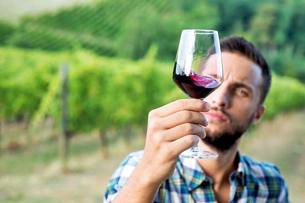 Homme en train d'observer la couleur et les larmes d'un verre de vin au milieu d'un vignoble
