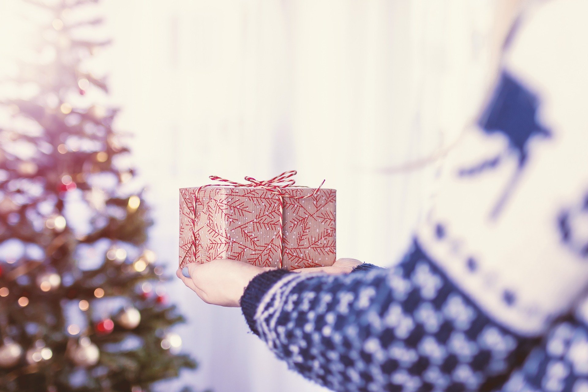 Femme vue de dos qui tient un paquet cadeau dans ses mains et l'approche du sapin de Noël
