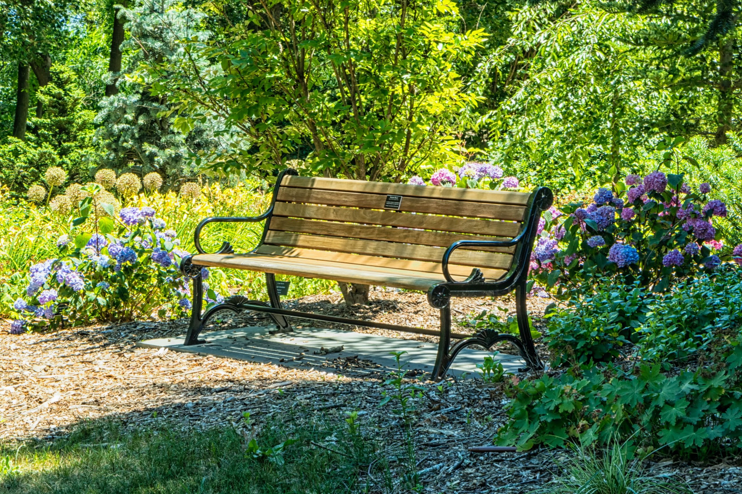 Jardin